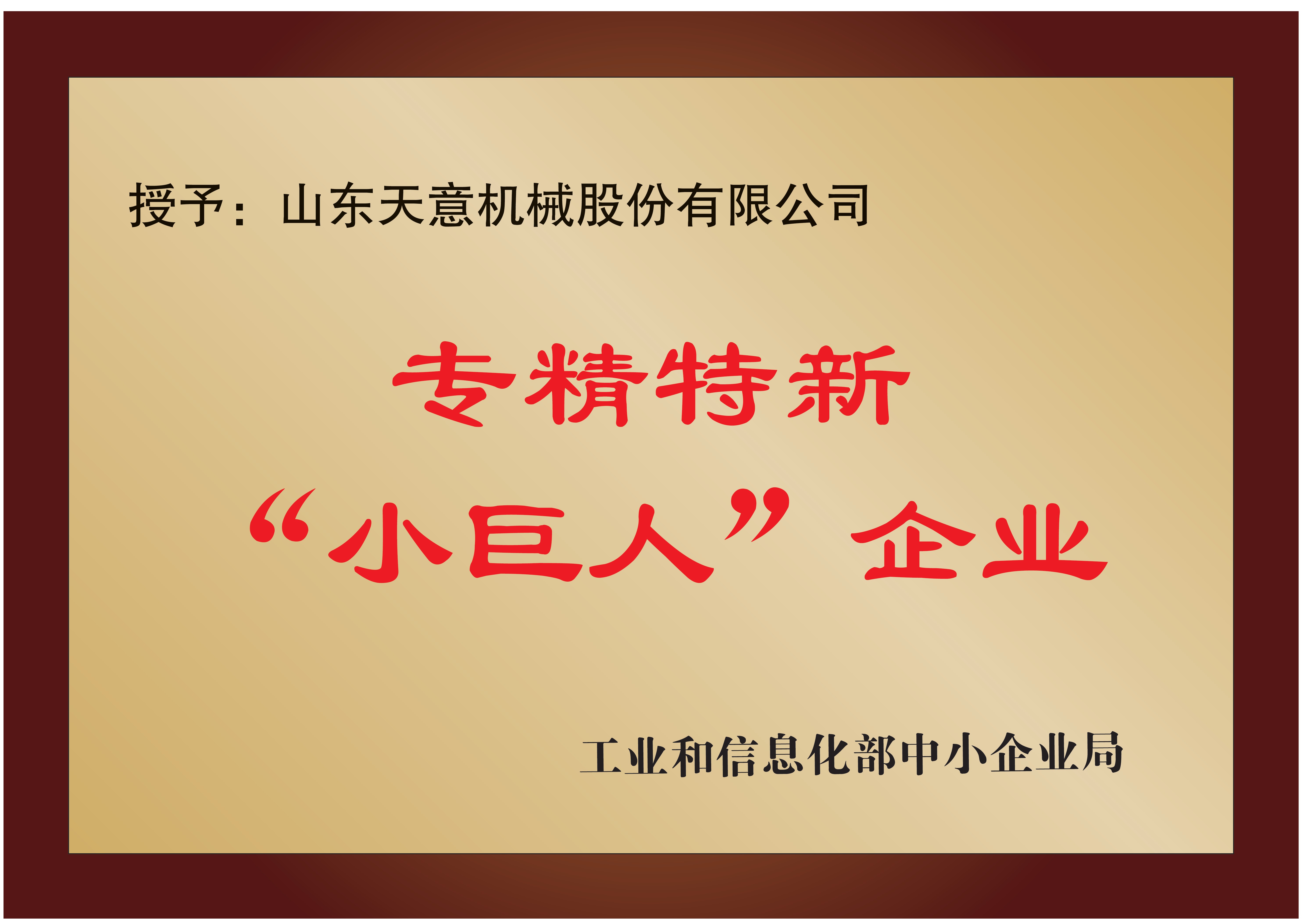 國(guó)家專精特新“小巨人”企業(yè)